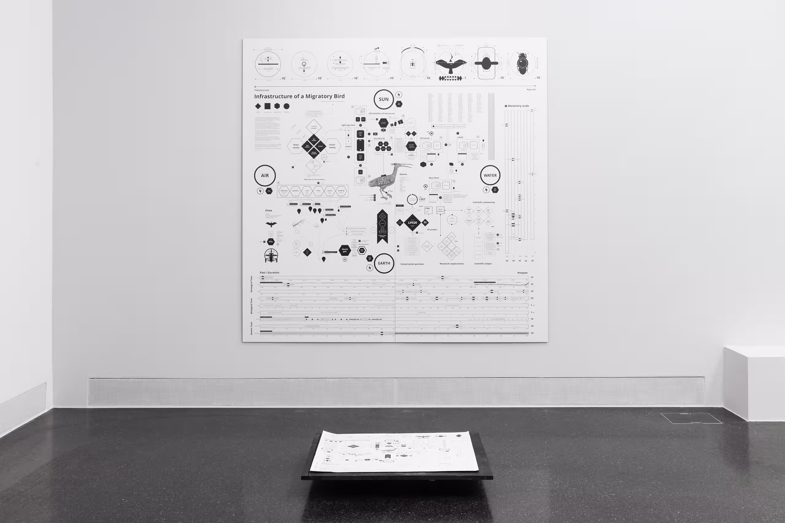 Installation view at Gallery AIA, Zurich, October 2022, Photo: Carla Schleiffer