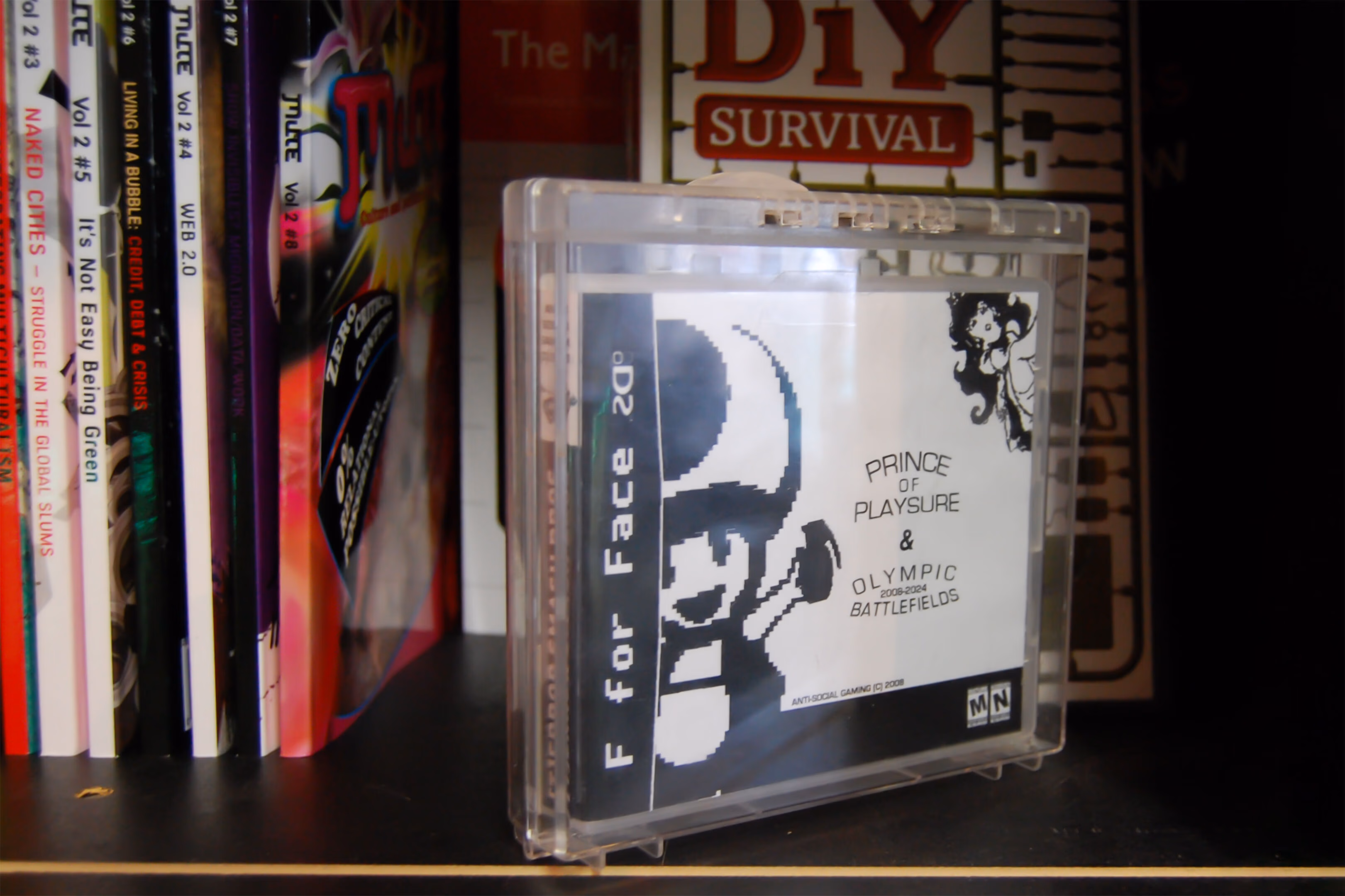 DS cartridge injected into shop window