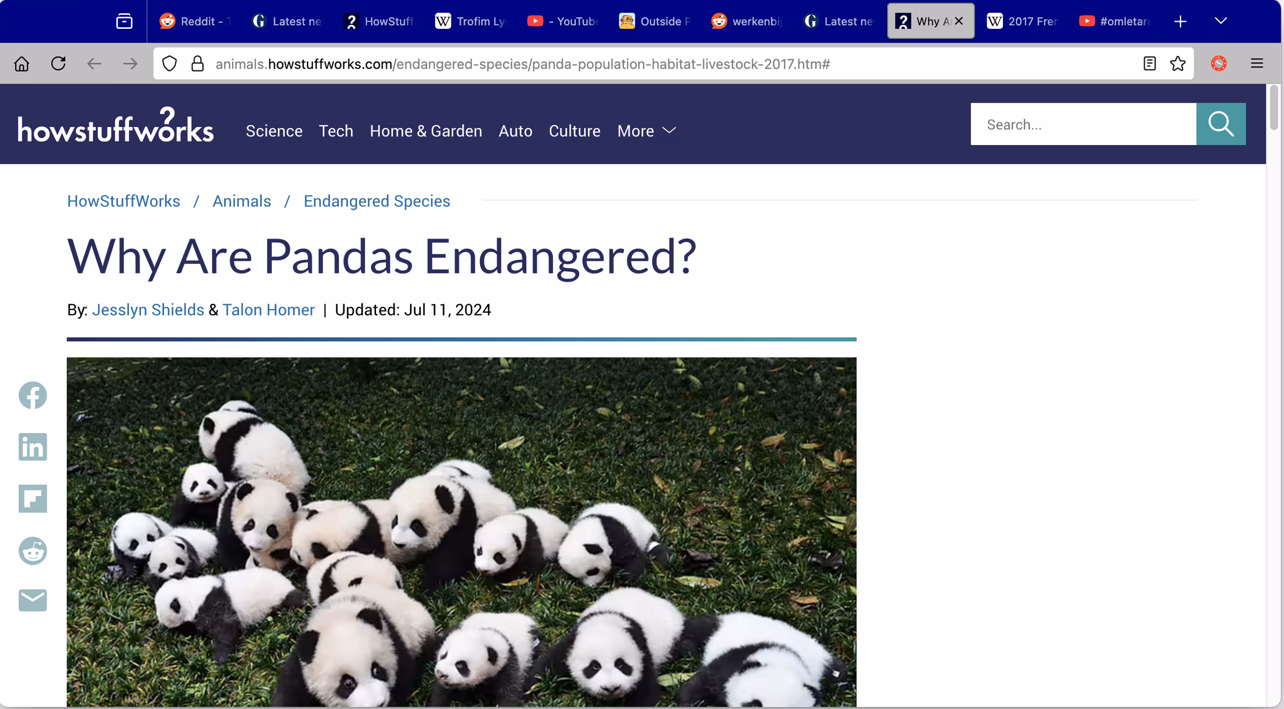 How stuff works as an ideal rabbit hole